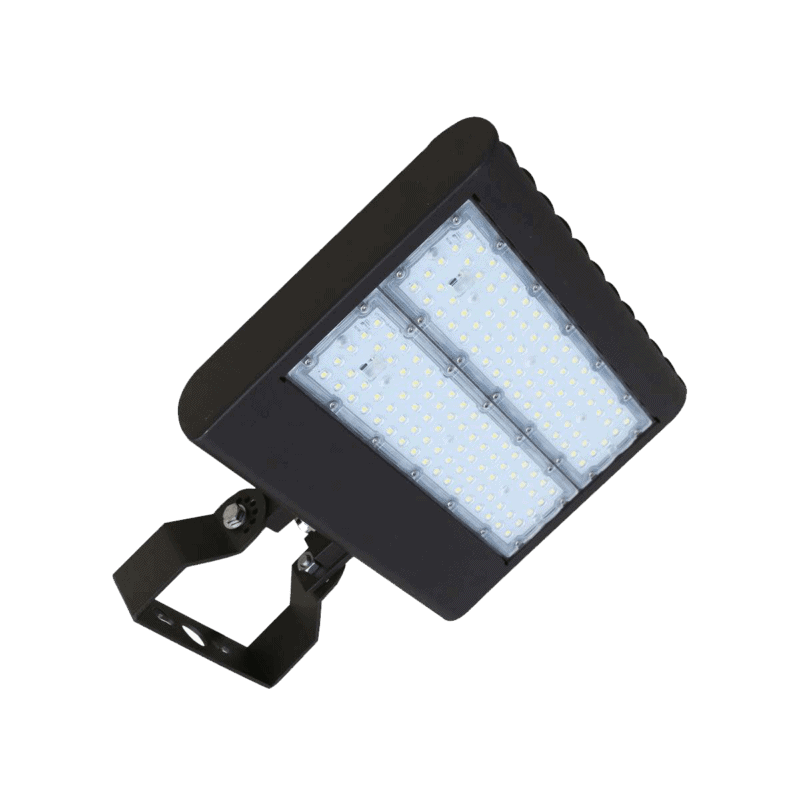 MULTI-MOUNT FLOOD LIGHT