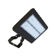 MULTI-MOUNT FLOOD LIGHT